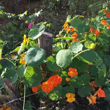 De Zoete Aagt Hébergement de vacances