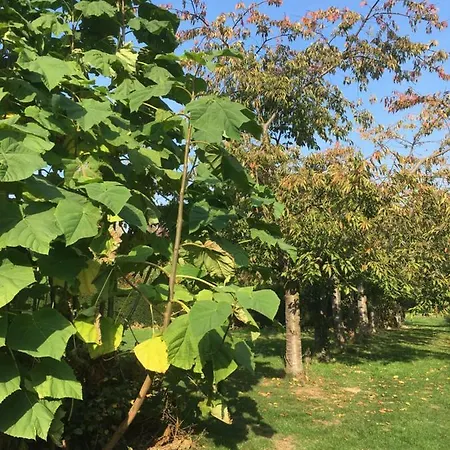 De Zoete Aagt Groesbeek