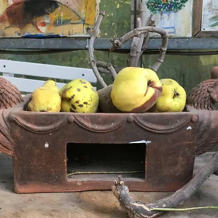 De Zoete Aagt Casa de Férias *
