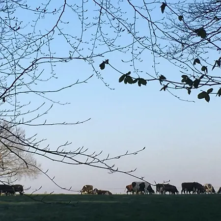 De Zoete Aagt * Groesbeek