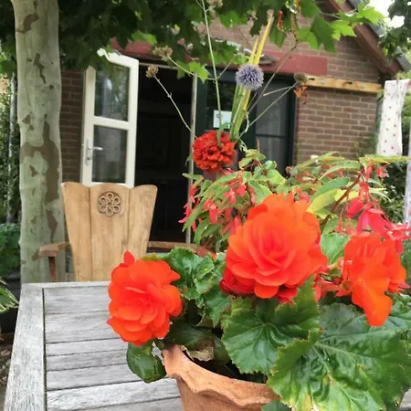 De Zoete Aagt