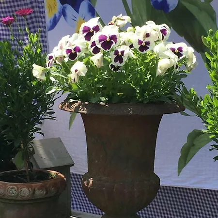 De Zoete Aagt Hébergement de vacances Groesbeek