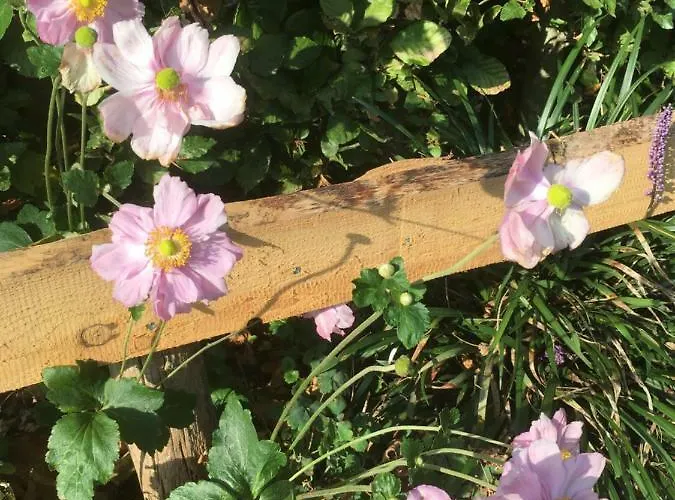 De Zoete Aagt * Berg en Dal