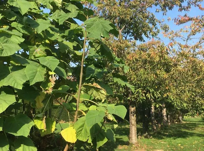 De Zoete Aagt Groesbeek