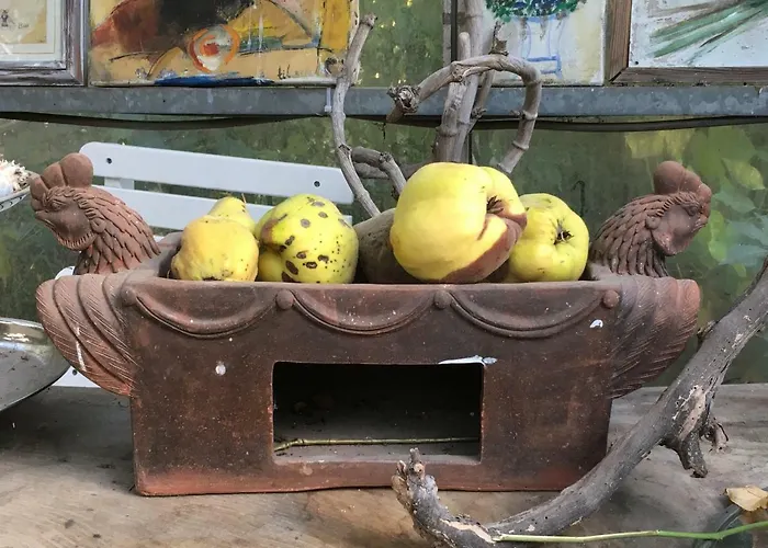 De Zoete Aagt Dom wakacyjny *