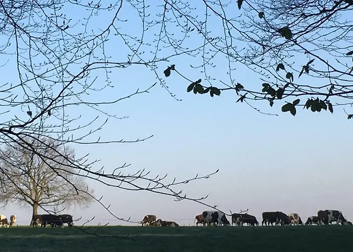 De Zoete Aagt * Groesbeek