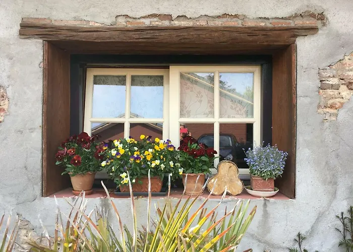 Casa de Férias De Zoete Aagt *