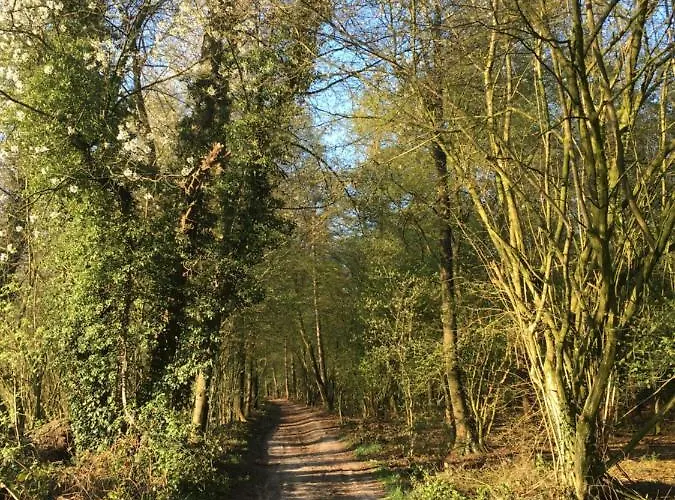 De Zoete Aagt Dom wakacyjny