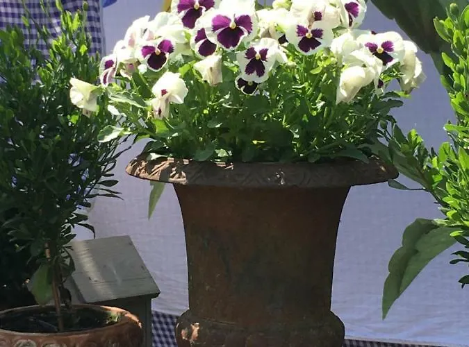 De Zoete Aagt Nyaraló Groesbeek