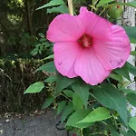 De Zoete Aagt 펜션 *